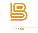Beautiful Bean Seeds logo