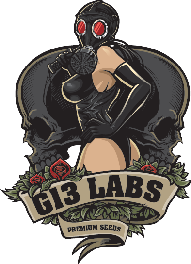 G13 Labs Lady Logo