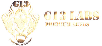 G13 Labs Logo
